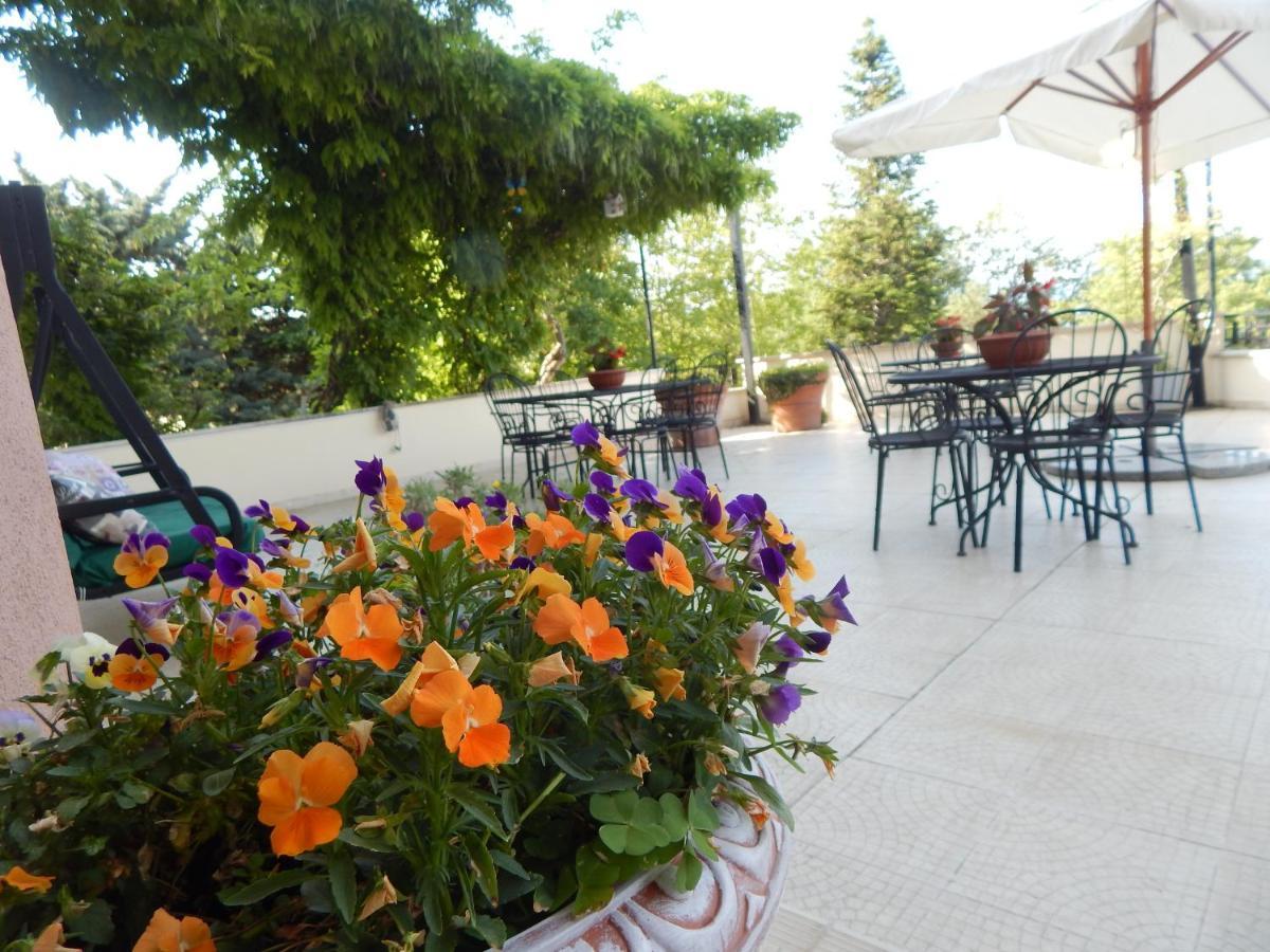 B&B La Meta Settefrati Екстер'єр фото
